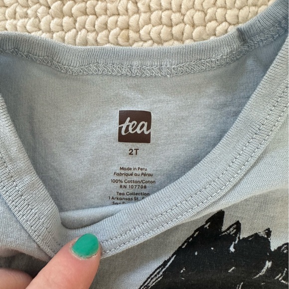 Tea Collection Eagle Shirt - 2T - Picture 2 of 2